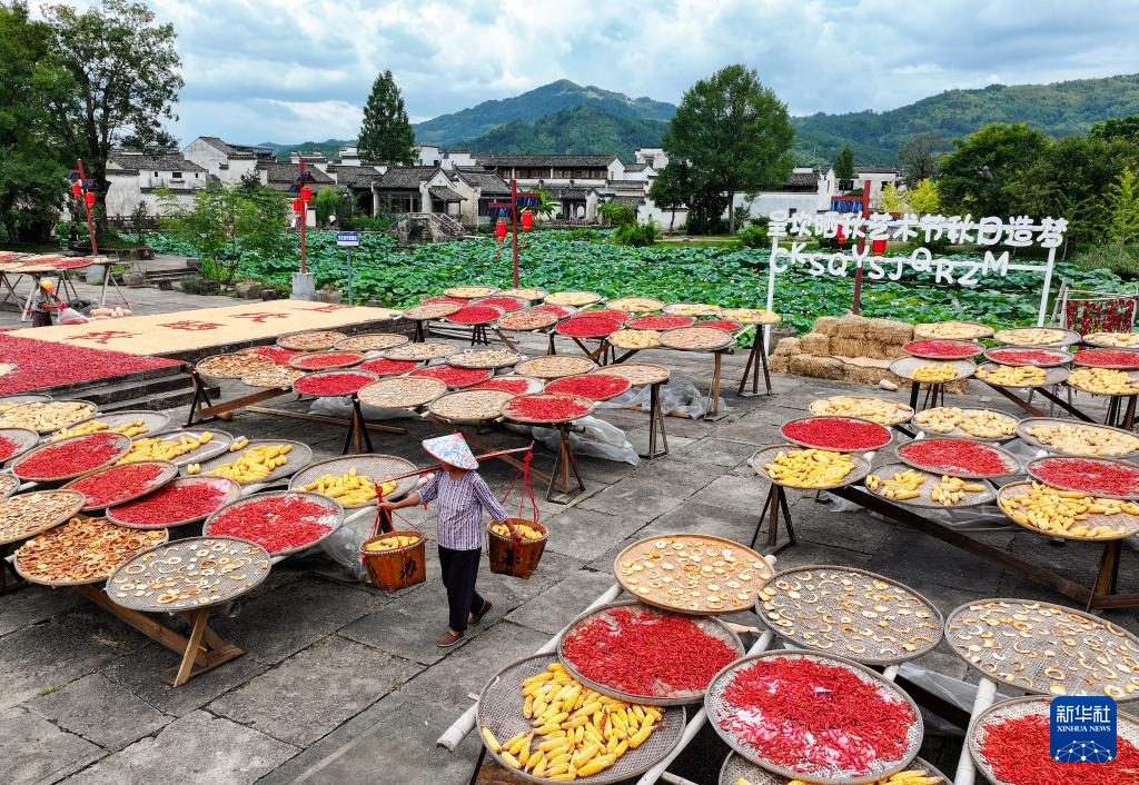 安徽省黄山市徽州区呈坎村，村民在晒场上晾晒红辣椒